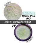 #5 Hybrid Chameleon- Purple Pink Gold