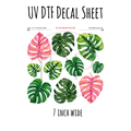 7"x7"- #160- Tropical Monstera Green Pink - UV DTF Decal SHEET