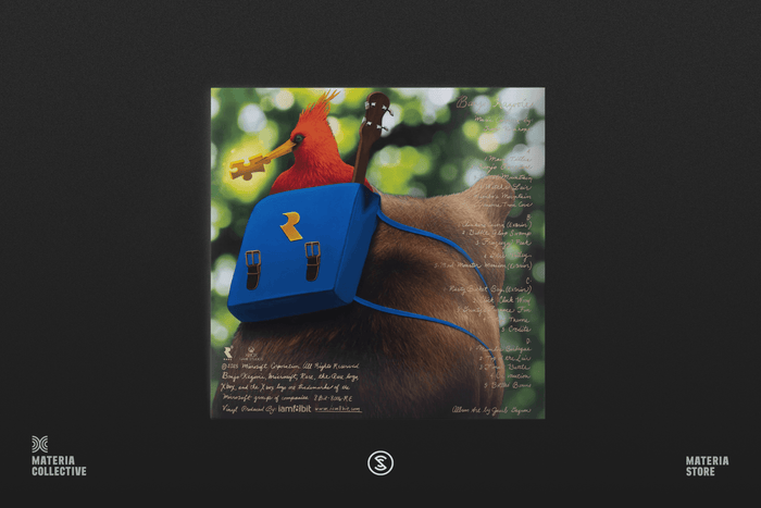 Banjo-Kazooie (Original Game Soundtrack) - Grant Kirkhope (2xLP Vinyl Record)