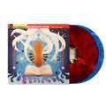 Blaseball: Discipline - The Garages (2xLP Vinyl Record)