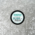 "BLING"-Shattered PHOTO FINISH GLITTER- Make Memories Sparkle