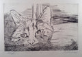 Cats Series | Muggs