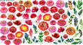 DESIGN #35- Painted Florals- UV DTF Decal Gang  Sheet 22"x12"