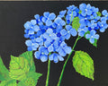 Flowers | Hydrangea