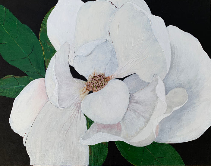 Flowers | Southern Magnolia