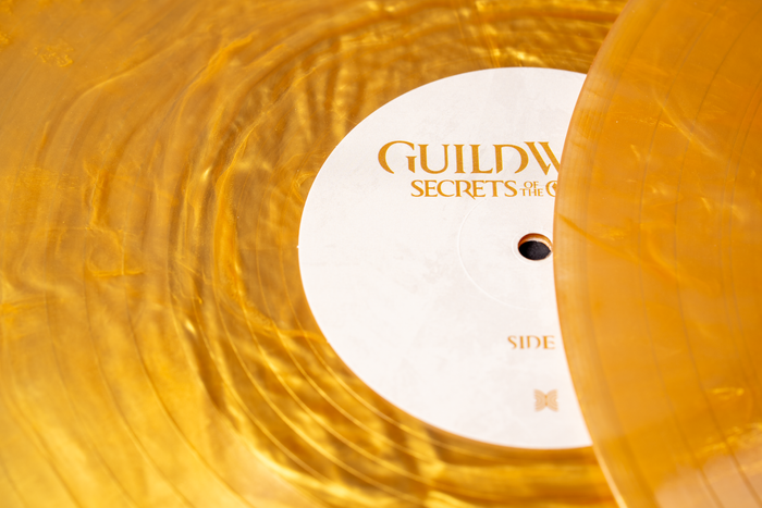 Guild Wars 2: Secrets of the Obscure (Original Game Soundtrack) (2xLP Vinyl Record)