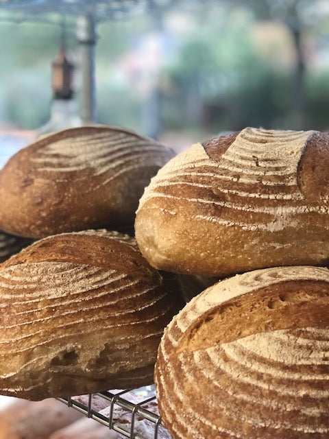 Introduction to Sourdough