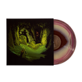 Lofi of the Lost Woods - Rifti Beats (1xLP Vinyl Record)