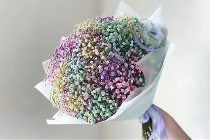 Mixed Color Gypsophila Bouquet