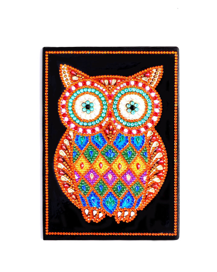 Notebook Smart Owl.