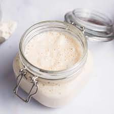 Shieldfield Sally- Sourdough Starter