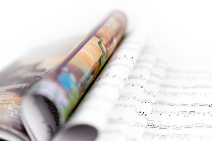 Stardew Valley Piano Collections (Physical Sheet Music Book)