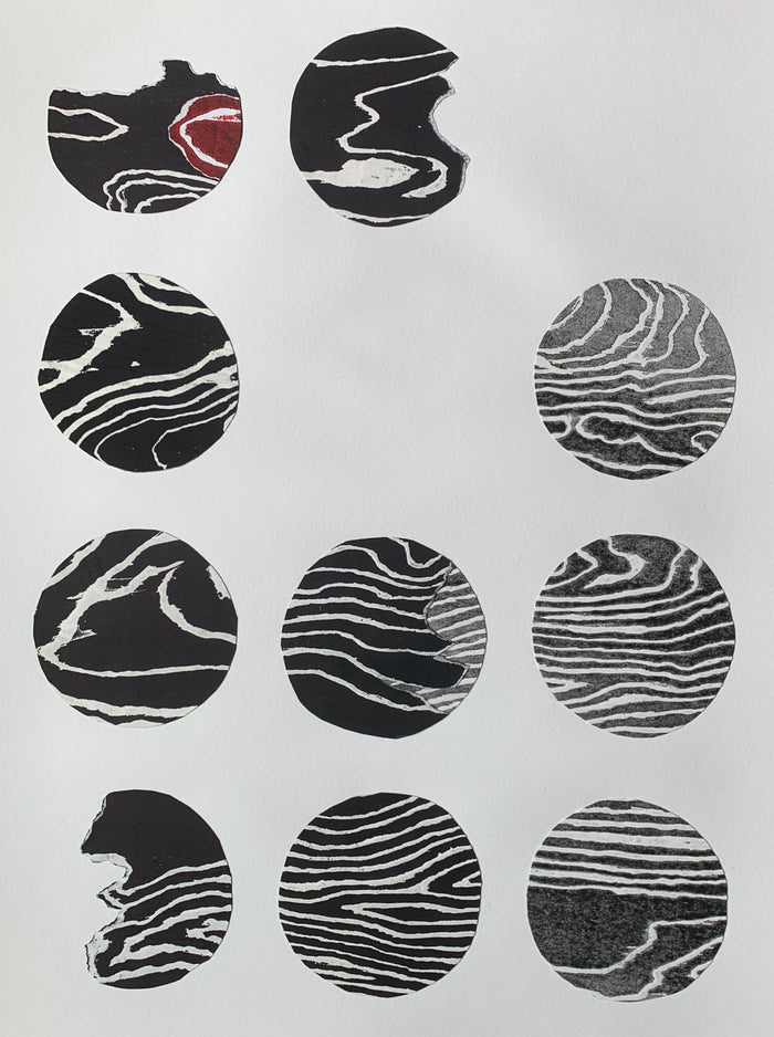 Topography Series | Ordered Circles XI