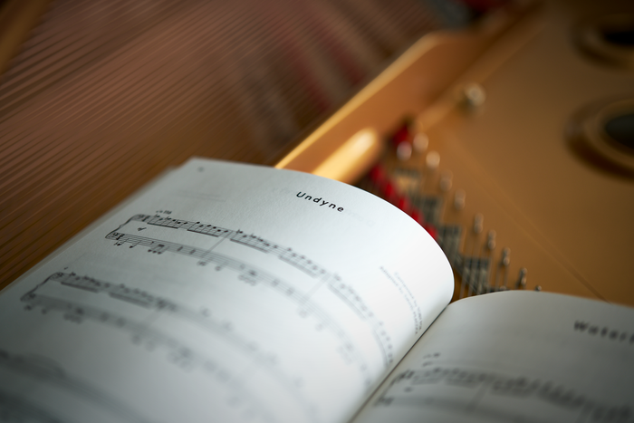 Undertale Complete Piano Score (Physical Sheet Music Book)