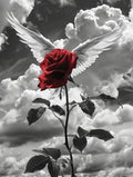 Winged Rose
